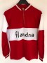 Retro-style Flandria jersey